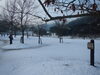 「2月20日（土）の雪の様子」