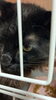 ハルくん「8月ご利用頂きましたお客様③【 札幌市 北区 catbeard キャットビヤード⠀】」