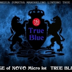 TRUE BLUE｜インドネシア