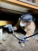 住まいを守るプロの確かな駆除作業「毎日受付中！お電話でお気軽にご相談ください」