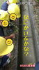 「晴れたよ☀︎*.｡ 【交野市 小規模保育園】」
