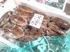 甲いか「今日の水揚げ」