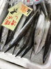 「魚魚市場鮮魚コーナーおすすめは「クロ」です♪」