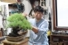 Bonsai Labo 凛 大阪市内でも希少な本格盆栽専門店 松屋町 空堀のお店めぐりマップ からほりらへん まいぷれ 大阪市中央区