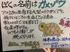 「12.4（土）柴又『おじぎ茶屋』さんの一日店長リクガメ『亀蔵』君に会いに行こう！『亀家本舗で亀さん展』まいぷれコラボ企画」