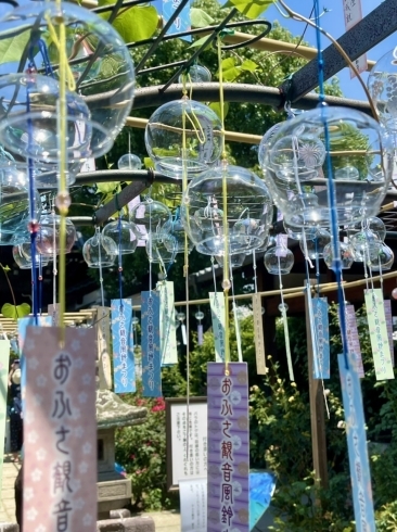 おふさ観音 風鈴まつり開催中です 高野山真言宗 別格本山 おふさ観音のニュース まいぷれ 橿原 おふさ観音 風鈴まつり開催中です 高野山真言宗 別格本山 おふさ観音のニュース まいぷれ 橿原