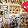 【開店】ドライフラワーと雑貨のお店『a person（ア パーソン)』が美園町にオープン！