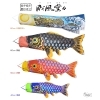 『威風堂々』60cm 鯉吹のみセット
