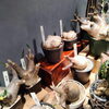よく見るとみんな葉がでてます！「塊根植物にも春が来ました!　パキポディウム　グラキリス　イノピナツム　ブレビカウレ　（恵比寿笑い）みんな葉っぱがでてきました！　芽吹く　春　成長　植物　珍奇植物　観葉植物　さぼてん　多肉　鉢　八王子市」