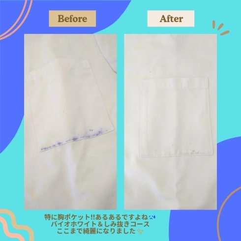 🌸白衣のクリーニングサービス🌸 | せんたく屋うららのニュース 🌸白衣のクリーニングサービス🌸 | せんたく屋うららのニュース