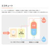 「～給湯省エネ2026事業～」