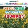 東京ドイツ村　フラワーフェスティバル