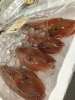 「魚魚市場鮮魚コーナーおすすめは「九十九島産生かき」です♪」