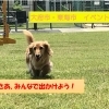 大府市・東海市イベント情報