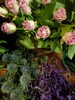 バラ、ＨＢスターチス、エリンジューム「秋色のお花、ユニークな花形のワイルドフラワー、ドライフラワーにできるお花など、いろいろ入荷しました」