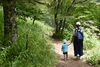 「美しい山野草に包まれる花の宝庫「入笠山」」