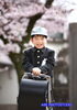 当館のすぐ近く、船川八幡宮さまで桜ロケ撮影♪「桜ロケーション撮影は前写しがおススメです(^^♪」