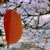 「Sunday, 3rd November 2024.」