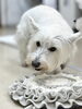 「冬のお散歩が減って犬の運動不足が心配？｜おうち遊びと犬の保育園の使い方【新潟市】」