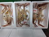 「📣本日入荷のお魚情報🐟」
