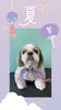 「Dog salon mofu mofu　余市町」