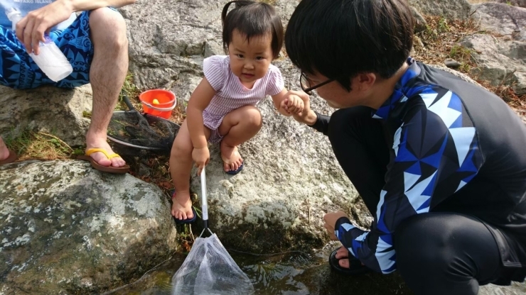 静岡市 地元民が教える穴場情報 子供の遊び場編 川遊び まいぷれ静岡市編集部のニュース まいぷれ 静岡市 静岡市 地元民が教える穴場情報 子供の遊び場編 川遊び まいぷれ静岡市編集部のニュース まいぷれ 静岡市