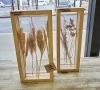 ドライフラワー　ガラスフレーム「【はなやホック皆生店】秋らしい雑貨入荷しています。」