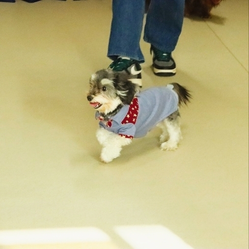 うるちゃん「今日のお友達」