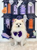 チェロくん「Happy Halloween 2026🎃」