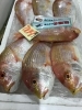 「魚魚市場鮮魚コーナーおすすめは「イイダコ」「カレイ」です♪」