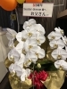 「３周年イベント大成功(*^ω^*)」