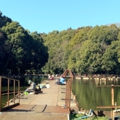 【フェリー商事株式会社】自然美溢れる清遊湖でへら鮒釣り！