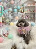 BeBeちゃん「MerryXmas🎄」