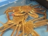 「【松葉がに】境港産／隠岐産 松葉がに 只今、お買い得価格で販売中！」