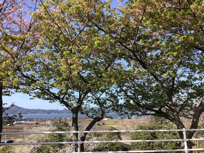 大塚山公園  八束町(大根島)