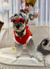 マリンちゃんからMerryXmas🤶「ましゅまろ幼稚園🐾　パート1」