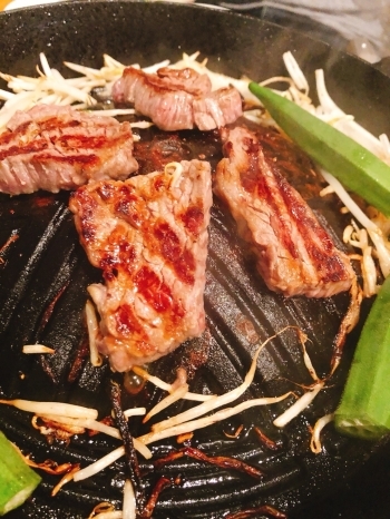 大衆ジンギスカン めりい亭 富士本町にジンギスカン店 女子会にもオススメ 富士市のおすすめグルメまとめ まいぷれ 富士 沼津 大衆ジンギスカン めりい亭 富士本町にジンギスカン店 女子会にもオススメ 富士市のおすすめグルメまとめ まいぷれ 富士 沼津