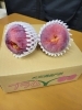 頂きもの「【那須塩原市　カイロ・エステサロン＊hana 】　感謝」