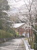 「【新年度がスタートしました🌸】」