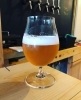 SHIKI BEER(しきびあ)