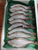 「📣本日入荷のお魚情報🐟」