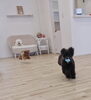 ひと休み中ぱんちゃん　追いかけっこ中くまくん「ましゅまろ幼稚園」