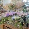 「【はなやホック皆生店】涼やかな季節のお花、グリーン豊富です。」