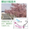 【枚方市】穂谷川桜並木