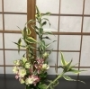 「未生流 いけばな教室です🌸」