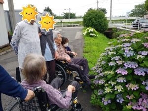 梅雨時の花といえば ココロココ西条のニュース まいぷれ 新居浜市 梅雨時の花といえば ココロココ西条のニュース まいぷれ 新居浜市