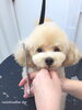 「冬のオプションキャンペーン　^ - ^」