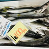 「魚魚市場鮮魚コーナーおすすめは「クエ」「クロムツ・カマス」です♪」
