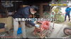 農機具の中にはワラがそのまま残ってました「【YouTube更新】実家の納屋片づけ依頼！」