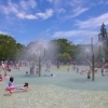 ふなばしアンデルセン公園 温水プールあり 船橋市のプール 水遊び特集 まいぷれ 船橋市 ふなばしアンデルセン公園 温水プールあり 船橋市のプール 水遊び特集 まいぷれ 船橋市